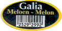 Galia Meloen
