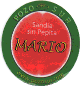 Mario Sandia sin pepitas