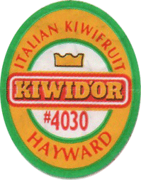 Kiwidor