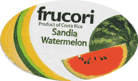 Frucori