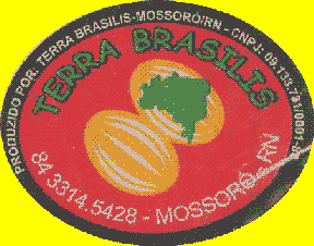 Terra Brasilis