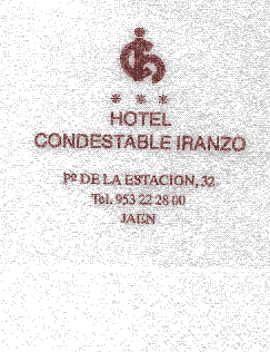 Hotel Iranzo