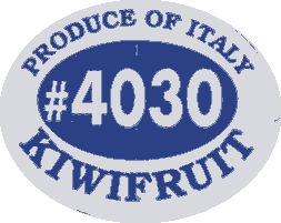 20130501 kiwifruit
