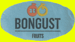 Bongust fruits