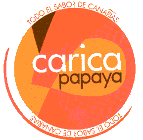20130701 Carica