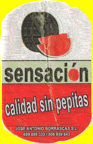 20130801 Sensación