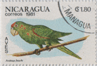 Nicaragua - Aves 1981