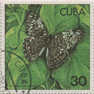 Cuba - Mariposas