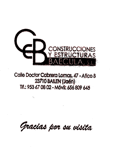 CONSTRUCCIONES Y ESTRUCTURAS BAECULA