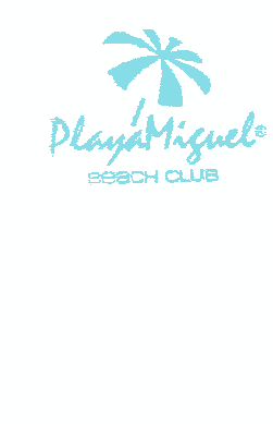Playa Miguel