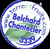 Belchard Chantecler