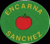 Encarna Sanchez