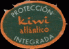 Kiwi Atlantico