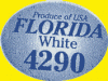 Florida white