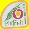 Pinfruit