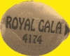 Royal gala