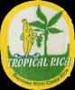 Tropical Rica
