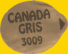 Canada gris