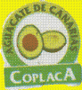 Coplaca